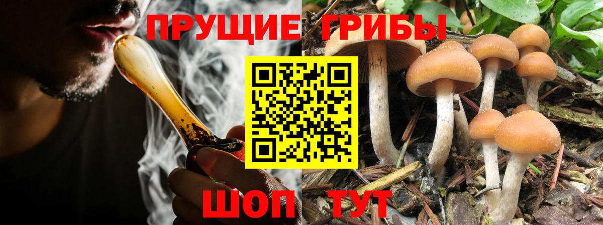 Галлюциногенные грибы GOLDEN TEACHER  Вход с VPN  Химки 